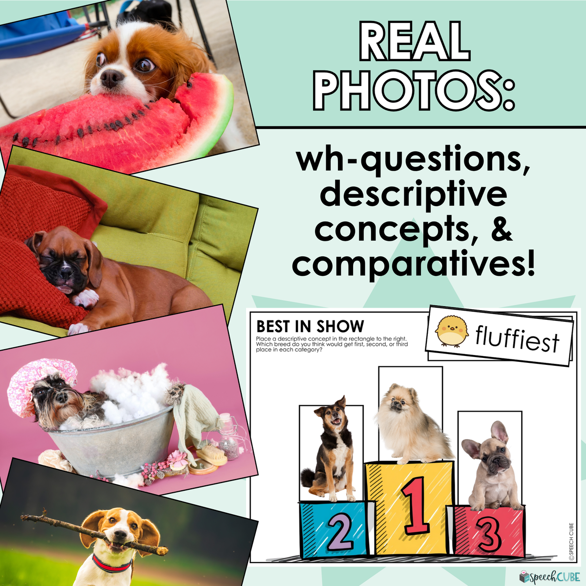 Dogs Theme PREPPED – Speech Cube