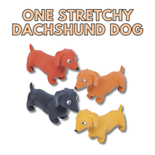 Load image into Gallery viewer, Dogs Speech Therapy Box