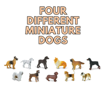 Load image into Gallery viewer, Dogs Speech Therapy Box