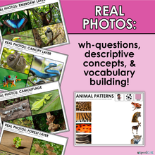 Load image into Gallery viewer, Rainforest Speech Therapy Activities Digital File